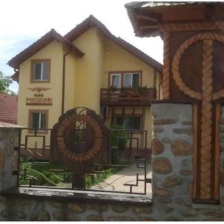 Pensiunea Pentru Tine Prietene Arcani Pokój zdjęcie