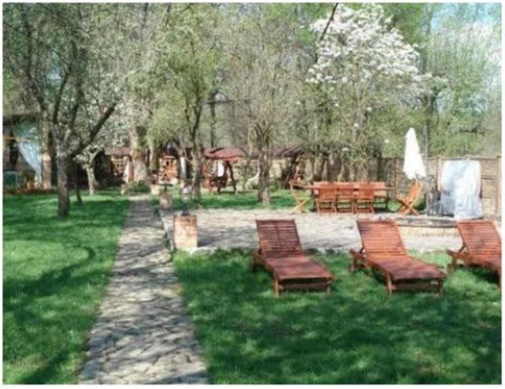 Pensiunea Pentru Tine Prietene Arcani Pokój zdjęcie