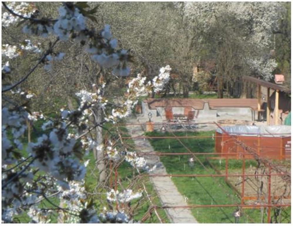 Pensiunea Pentru Tine Prietene Arcani Pokój zdjęcie
